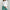 Women Long Sleeve T Shirt Spring Autumn Solid Slim Fit Casual Shirts Female Pullovers Basic Tee Y2k Clothes Streetwear Crop Tops