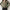 Blouses polo lapel single-breasted flared Collar Solid sleeve shirt Five-color women's slim long-sleeve Casual Streetwear top